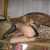Deneyimli Merter Escort Leona ile Doğal ve Gizemli Tadı Keşfet - Image 1 Deneyimli Merter Escort Leona ile Doğal ve Gizemli Tadı Keşfet - Image 1